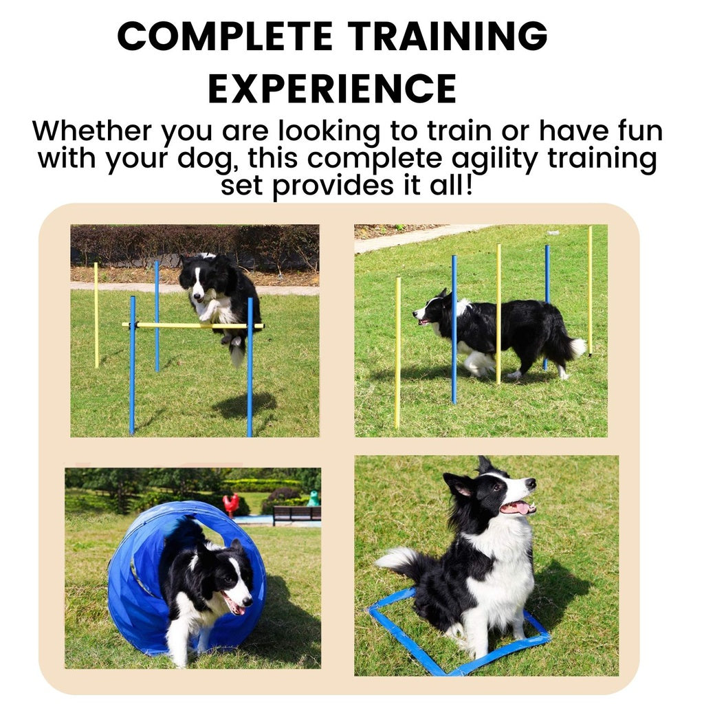 Floofi Dog Agility Training Set FI-DGT-100-SL / FI-DGT-100-YX