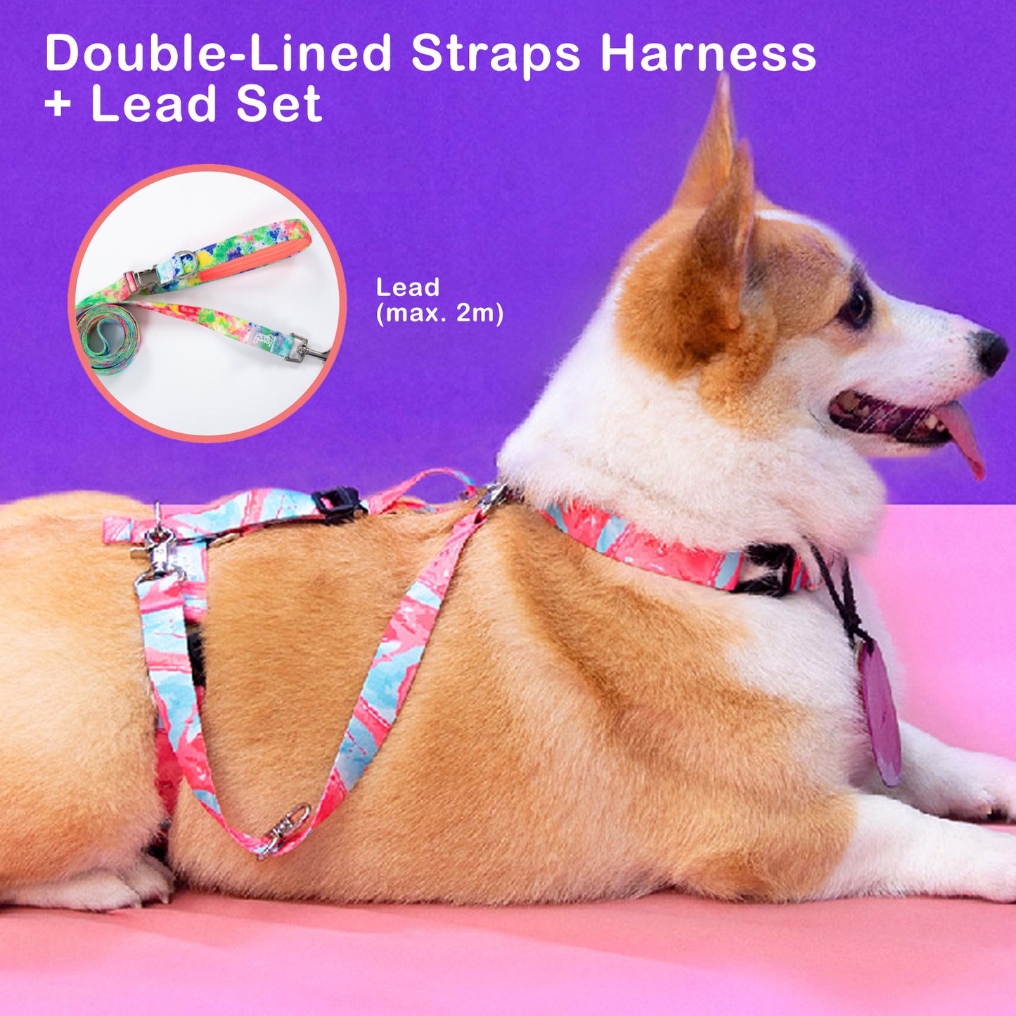 Dog Double-Lined Straps Harness and Lead Set Leash Adjustable L SWEET GREEN