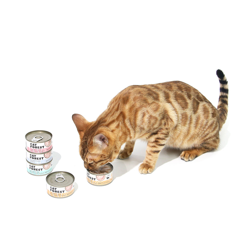 CAT FOREST Classic Tuna White Meat With Shrimp In Gravy Cat Canned Food 85G X 24