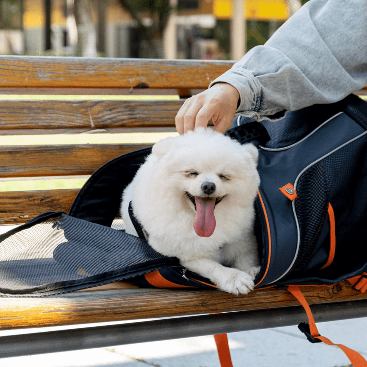 Ibiyaya Ultralight-Pro Backpack Pet Carrier, Navy Blue